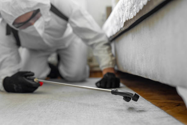 Professional Bed Bug Control technician working in Medicine Lodge, KS