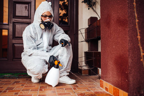 Reliable Bed Bug Control contractor in Medicine Lodge, KS by Nex Pest Control