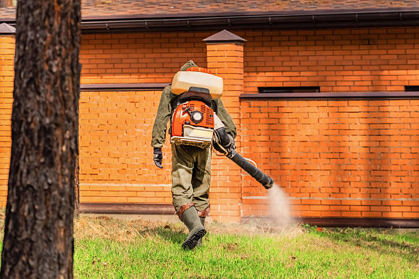 Trusted Bed Bug Control service in Medicine Lodge, KS - Nex Pest Control